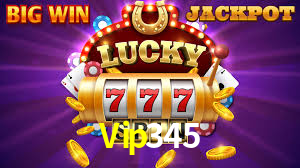 Premium Interface Vip345